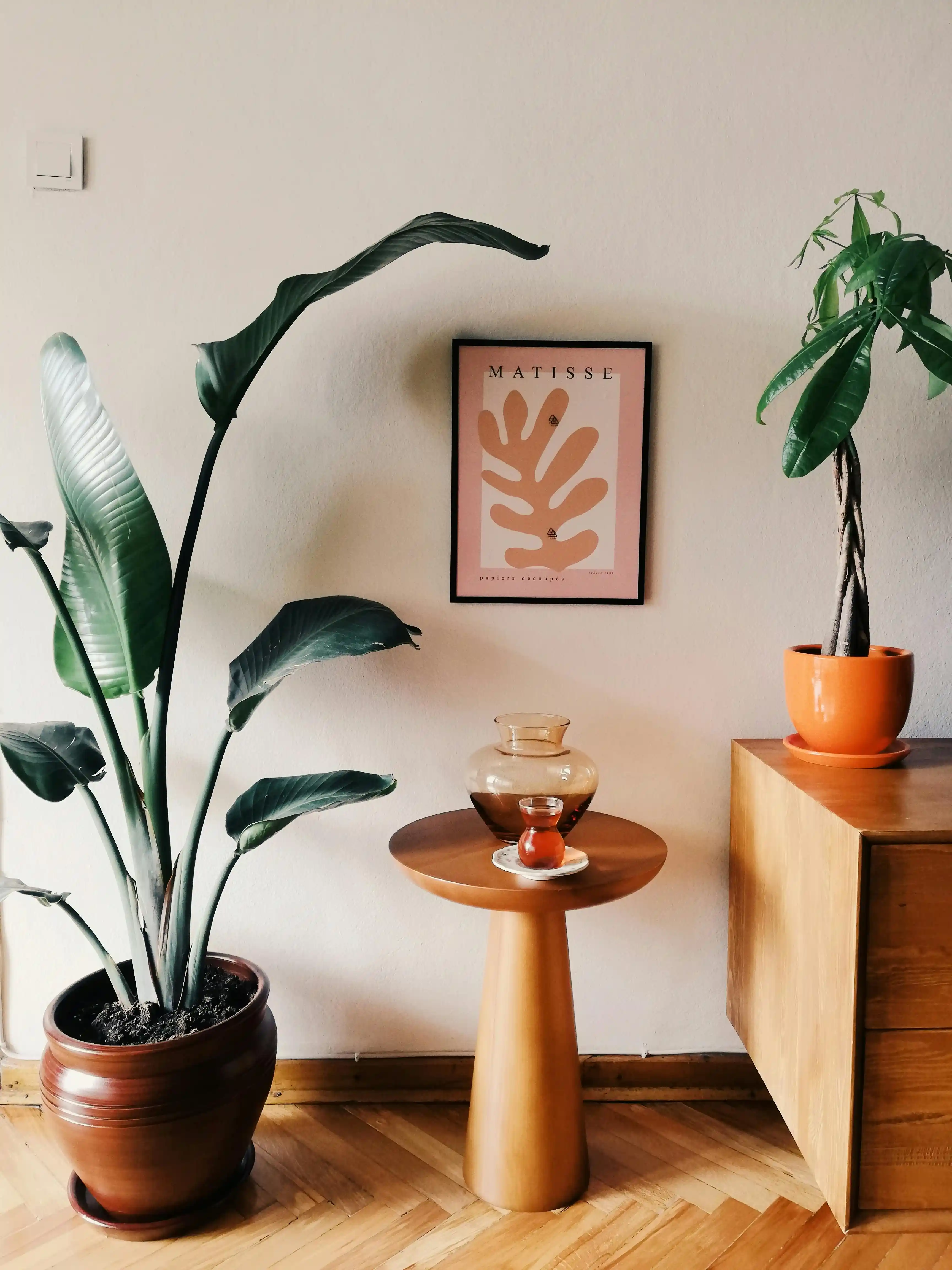 Doğal Ahşap ve Modern Tasarım: Estetik ve Doğallığın Buluşması İçin İpuçları ve Öneriler