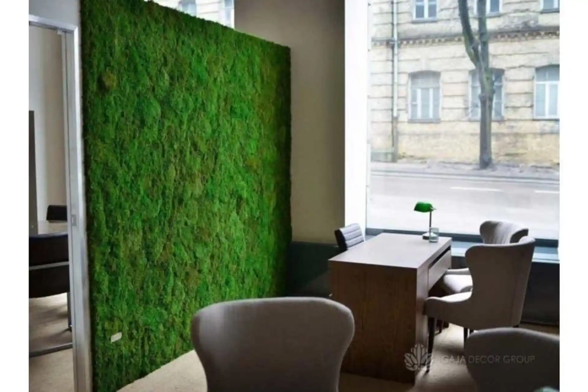 Doğal Kara Yosunu ile Ev Dekorasyonunda Yenilikçi ve Sürdürülebilir Bir Yaklaşım