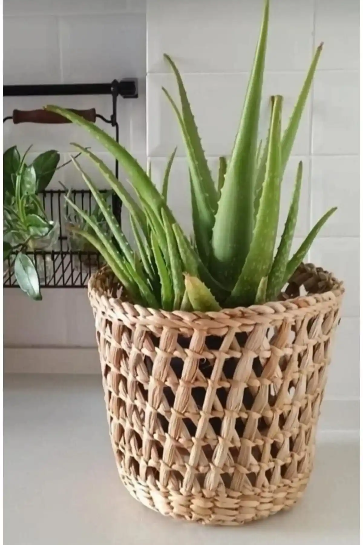 Doğal Malzemelerle Dekorasyon: Hasır Saksı Kullanımının Avantajları ve Dekorasyon İpuçları