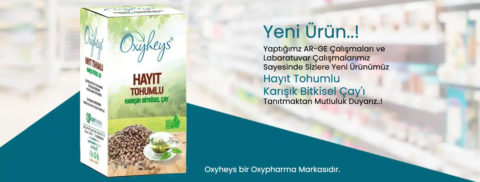 Doğal ve Bitkisel Ürünlerin İç Mekan Dekorasyonundaki Yeri ve Sağlık Faydaları