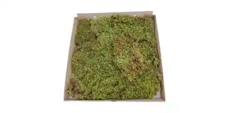 Ender Peyzaj ve Doğal Mekan Dekoru: Çevreyle Uyumlu Estetik ve Sürdürülebilir Çözümler