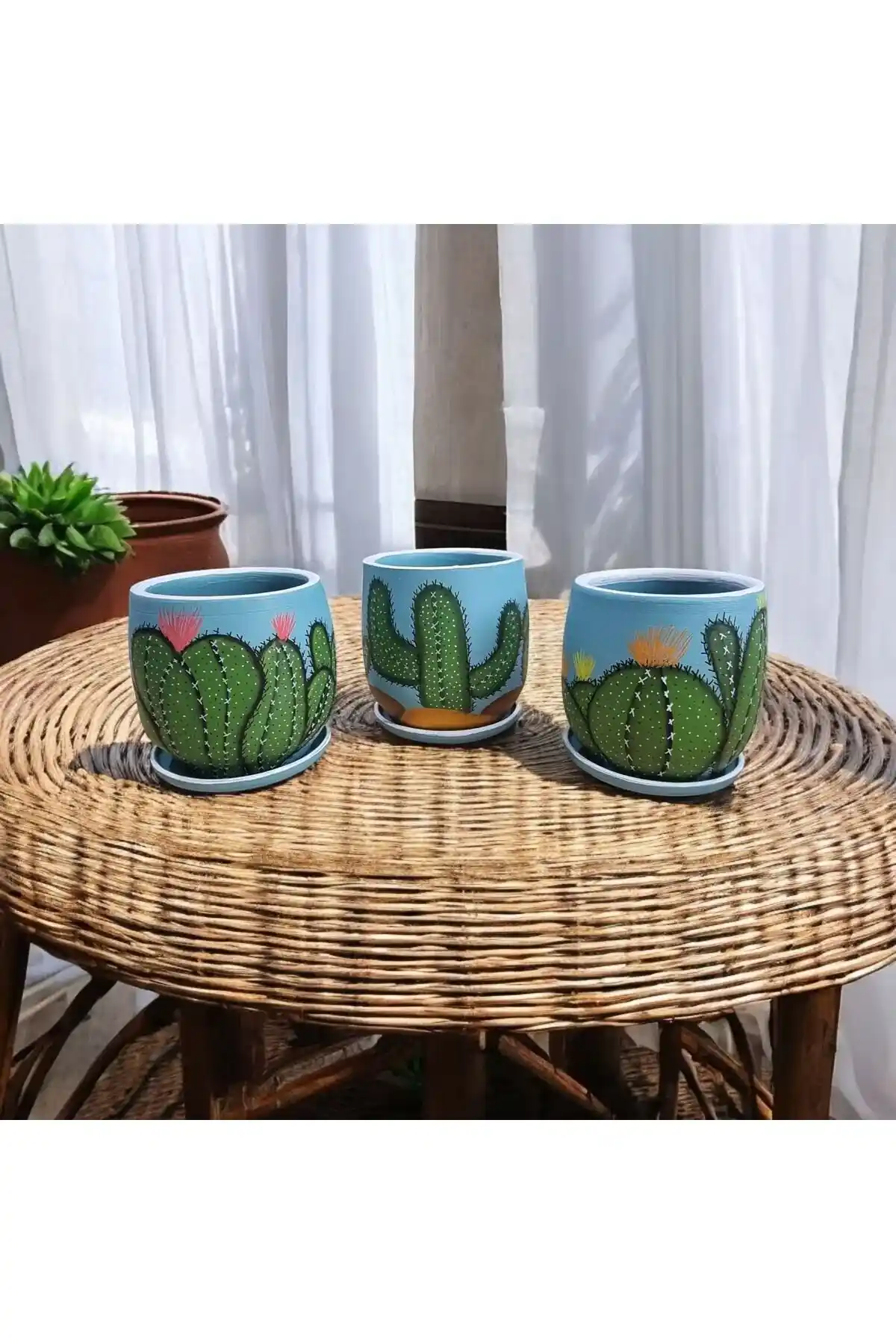 Estetik Kaktüs Desenli Saksılar ile Modern Dekorasyon ve Bitki Bakımı Rehberi