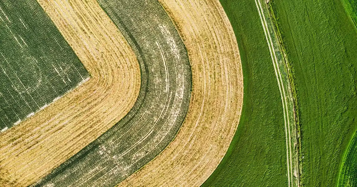 Ev Dekorasyonunda Kitaplık Seçimi: Müşteri Tercihleri ve Tasarım Unsurları