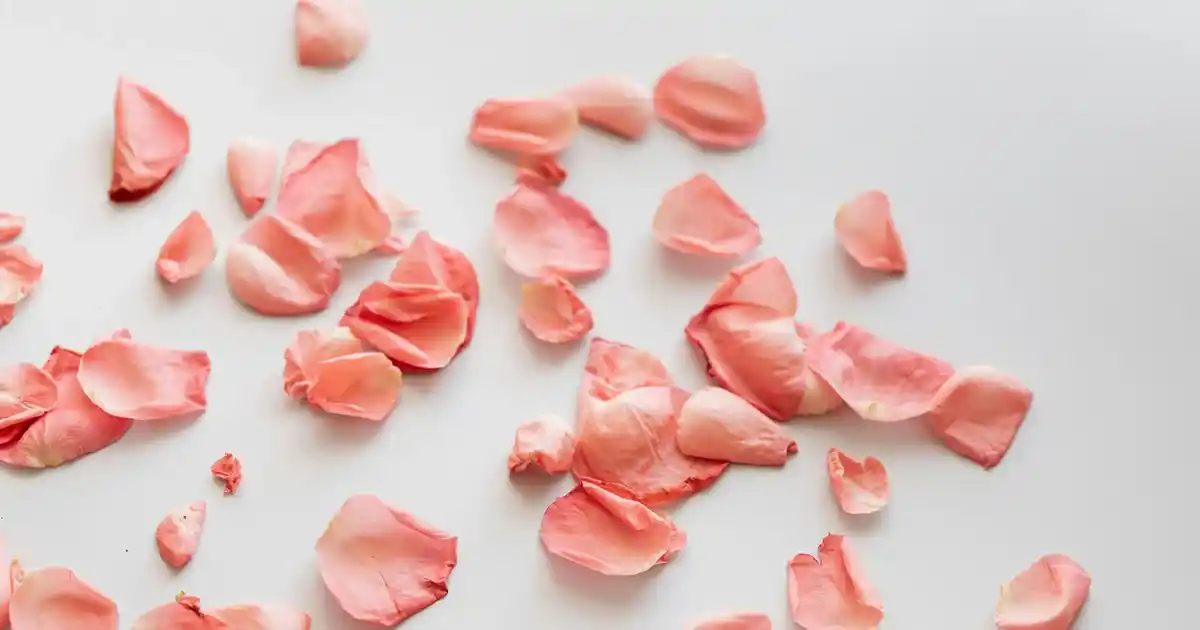 Ev Dekorasyonunda Sehpa Takımlarının Rolü ve Estetik Özellikleri