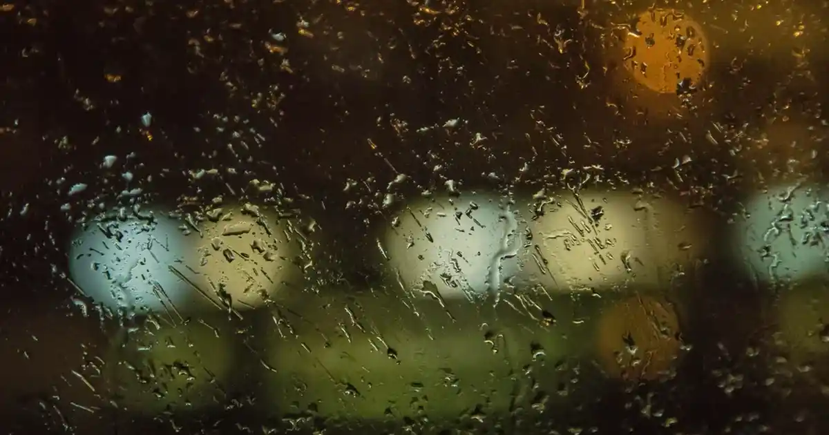 Ev Dekorasyonunda Yenilikçi Duvar Sticker Setleri ve Priz Safari Ürünleri Çeşitleri