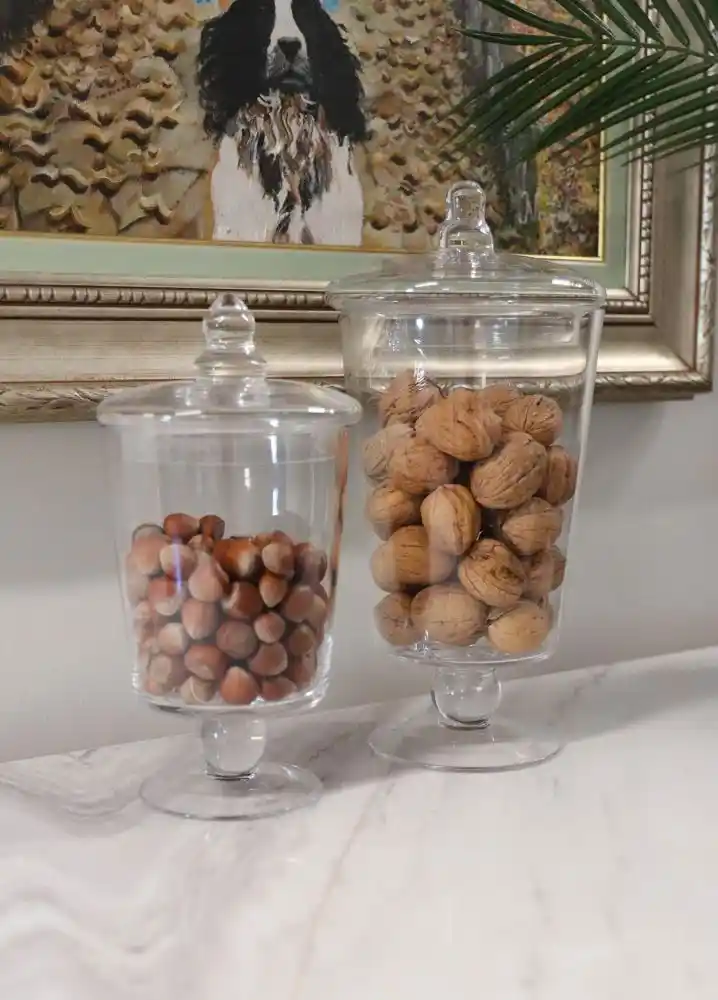 Ev Dekorasyonunu Tamamlayan Şeffaf Camlı Saklama Kapları ve Kullanım İpuçları