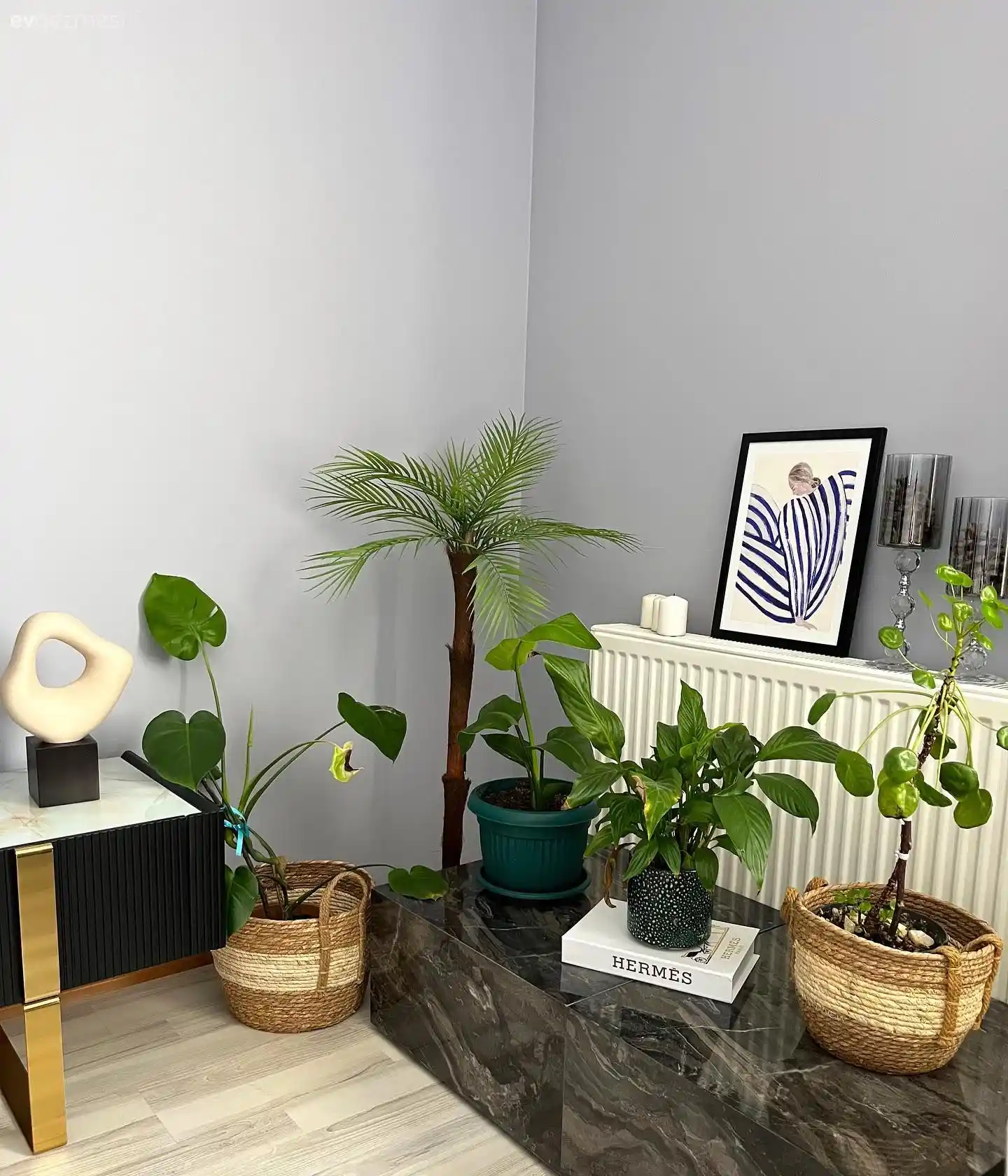 Ev Dekorasyonunu Zenginleştiren Şık Saksı Setleri ve Tasarım Seçenekleri