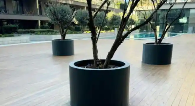 Fonksiyonel Modern Ev Saksıları: Estetik ve Pratik Çözümlerle Dekorasyonunuzu Güncelleyin