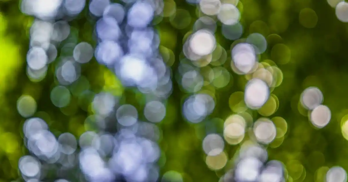 Hurç ve Ev Tekstili Markaları: Kalite, Tasarım ve Fiyat Dengesi Analizi