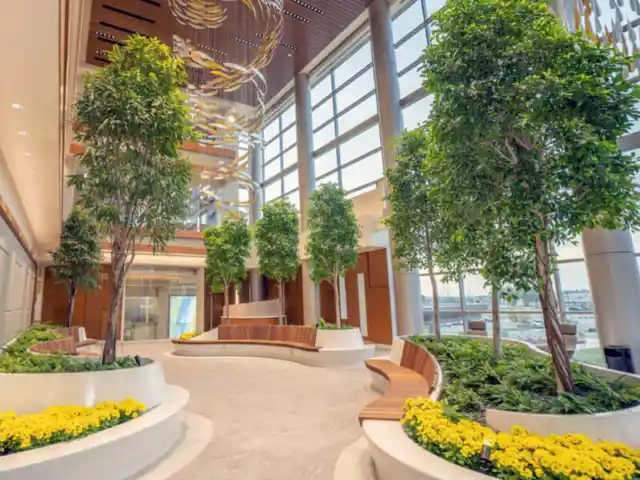 İç Mekan Dekorasyonunda Peyzaj Kara Yosunu: Doğal ve Sürdürülebilir Bir Seçenek