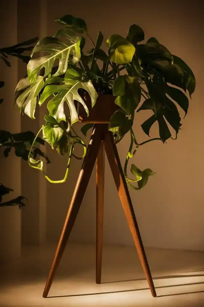 İç Mekân Dekorasyonunu Zenginleştiren Kompakt Saksı ve Bitki Standları