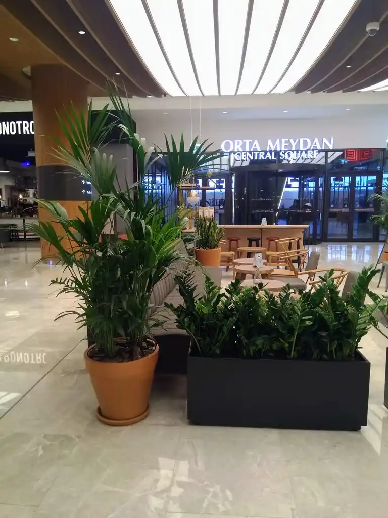 İç Mekan ve Bahçe Dekorasyonunda Bitki Seçimi ve Bakımı Rehberi