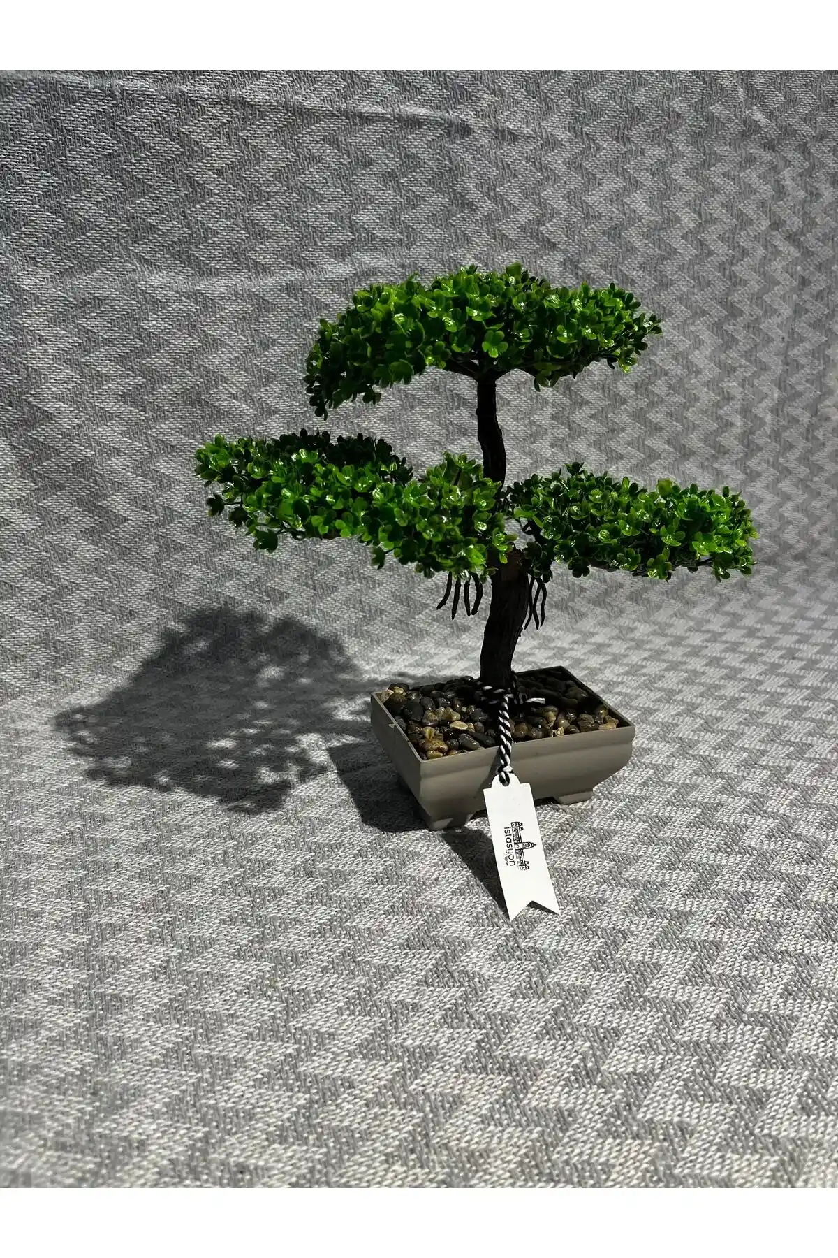 İç Mekanlarda Doğal Bitki Dekorasyonunun Önemi ve Uygulama Yöntemleri