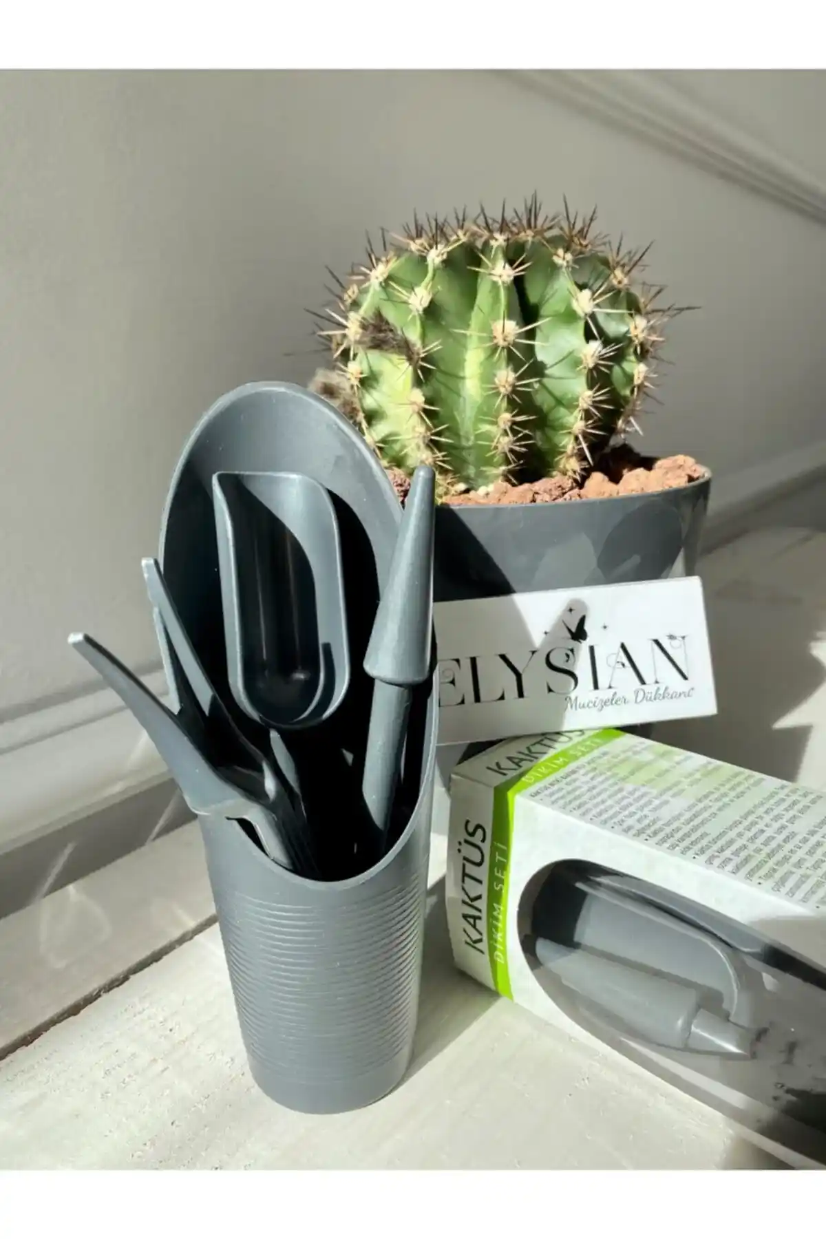 Kaktüs Bakım Setleri ile Evde Kolay ve Sağlıklı Kaktüs Bakımı Rehberi