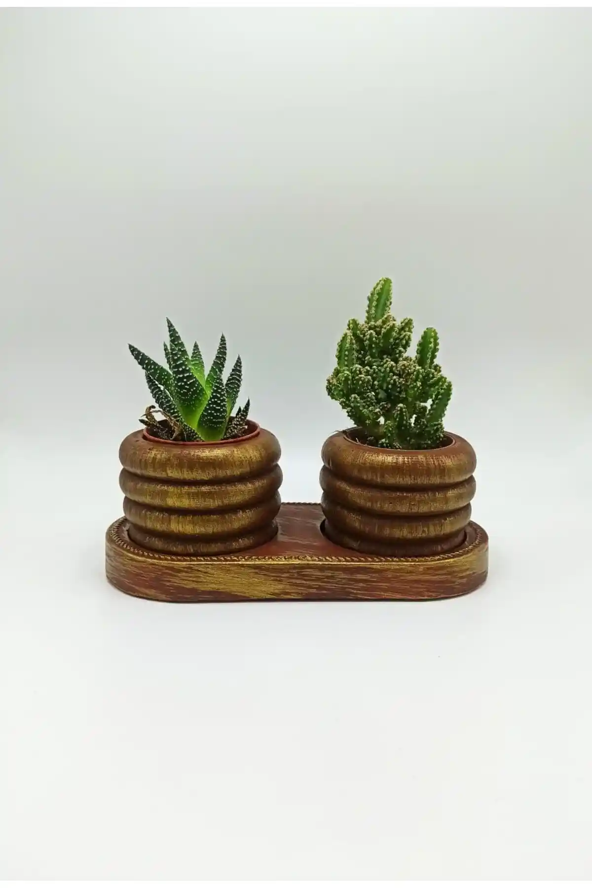 Kaktüs Desenli 3'lü Saksı Setleri ile Modern ve Şık Dekorasyon Çözümleri