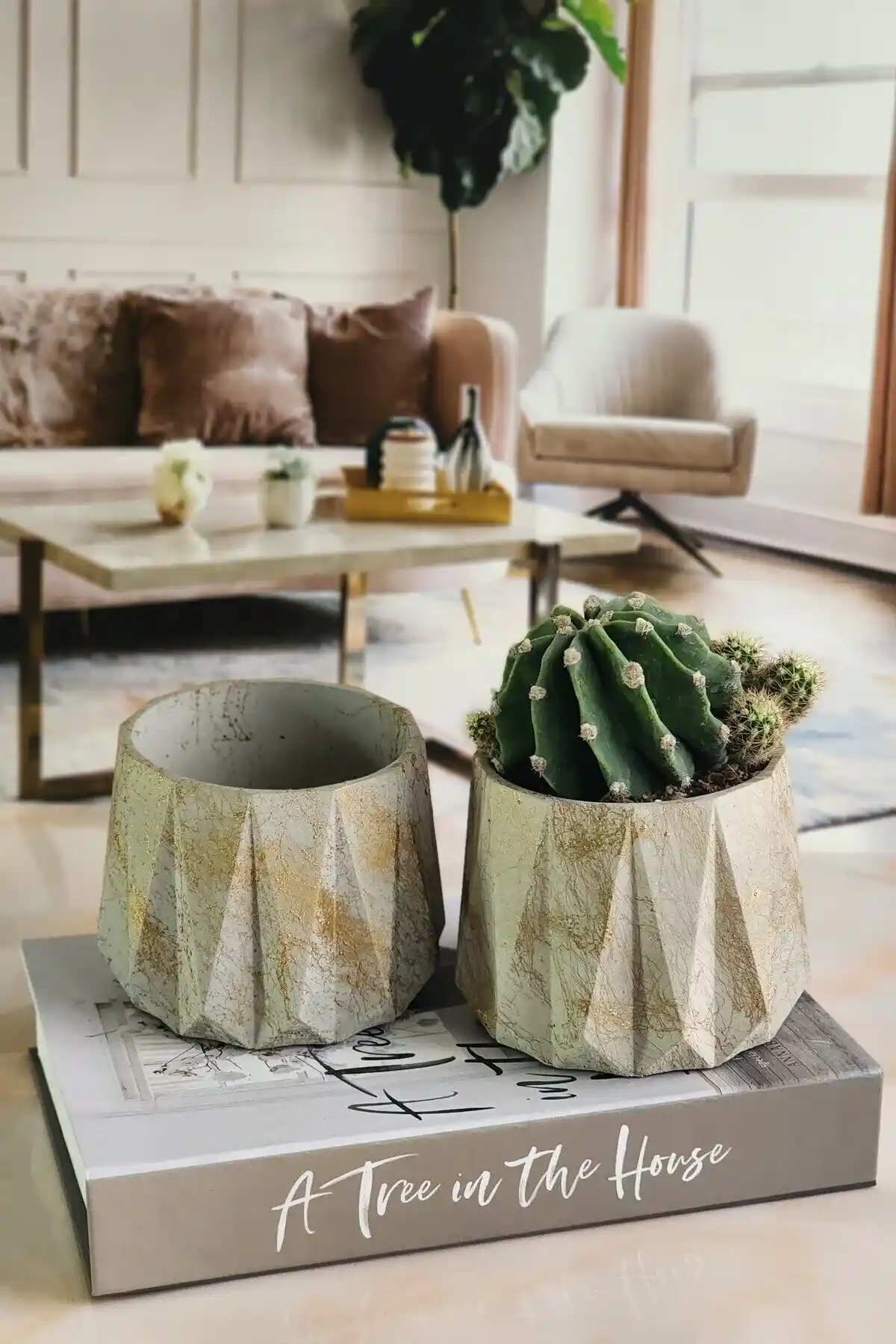 Kaktüs Desenli Saksı Takımlarıyla Doğal ve Şık Dekorasyon Çözümleri