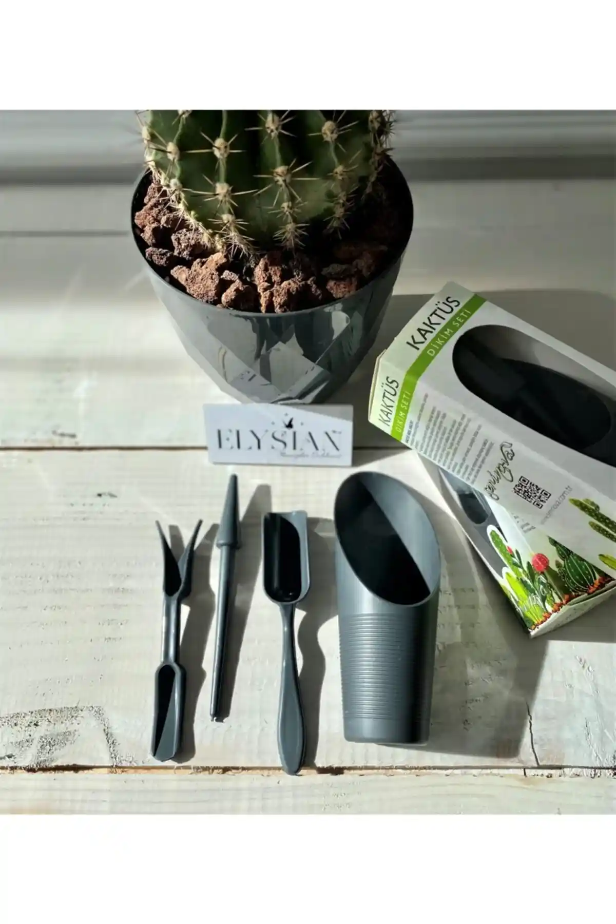 Kaktüs Dikim Setleri ve Uygunluk Değerlendirmesi: Malzeme Kalitesi ve Kullanım Kolaylığı