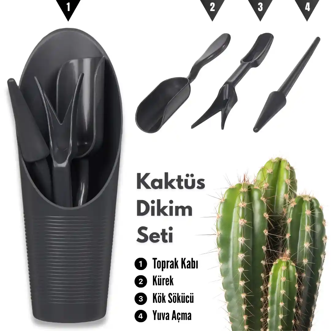 Kaktüs Dikimi İçin Uygun Setler ve Bakım İpuçları