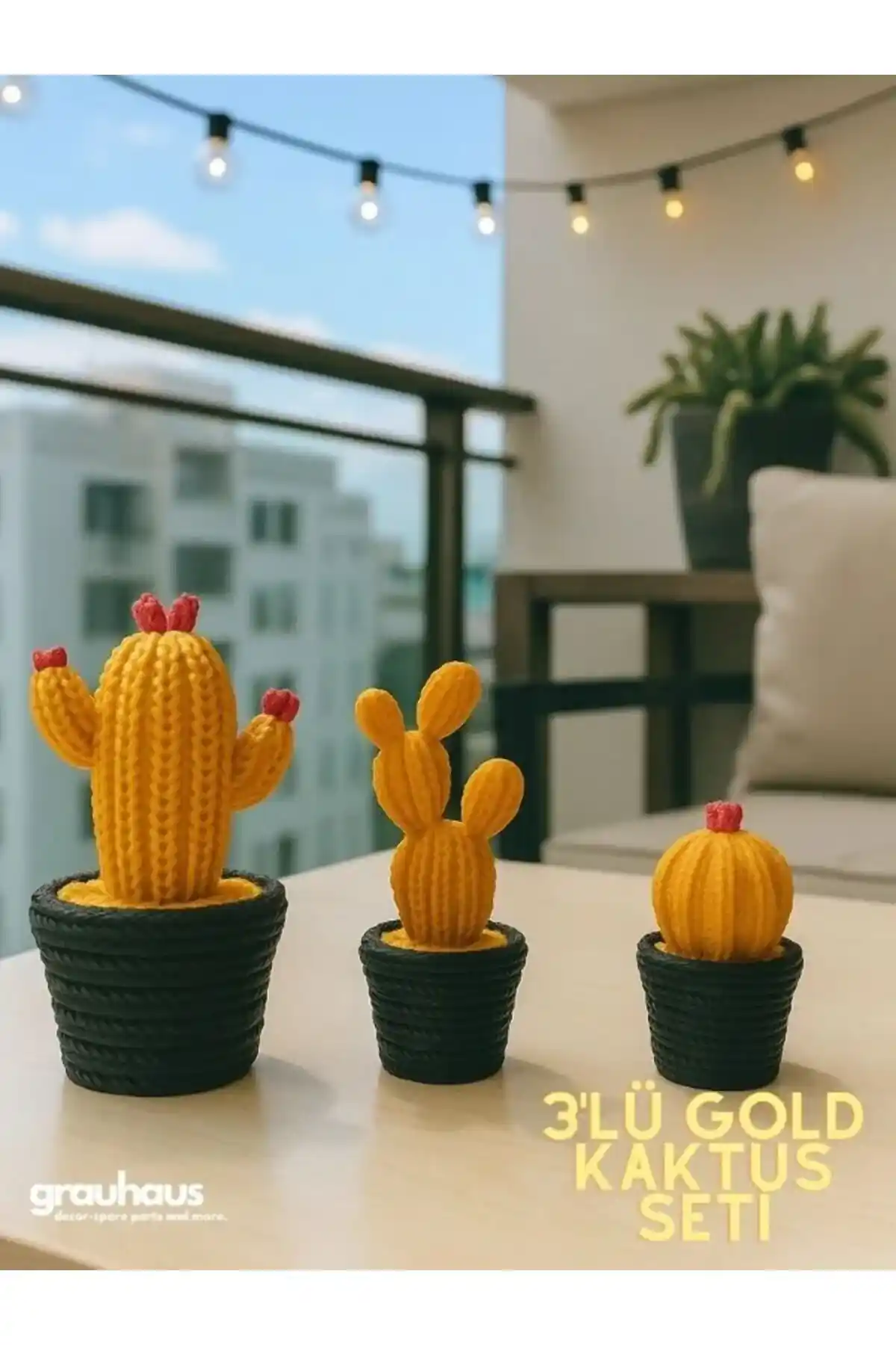 Kaktüs Seti Seçimi İçin Uygun Modeller ve Temel Kriterler Hakkında Bilgi