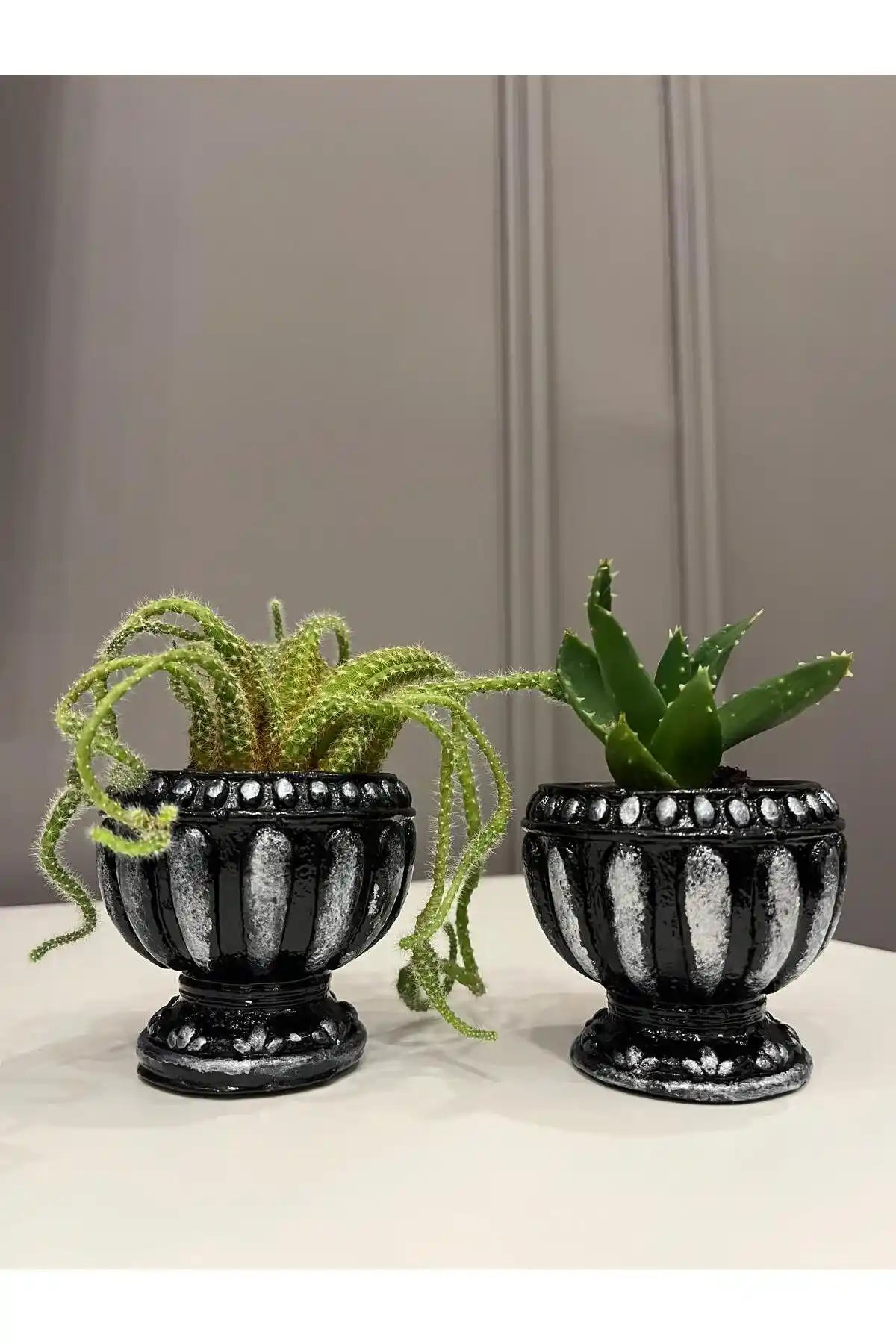 Kaktüs ve Sukulent Saksı Setleri: Modern İç Mekan Dekorasyonunda Şık ve Pratik Çözümler