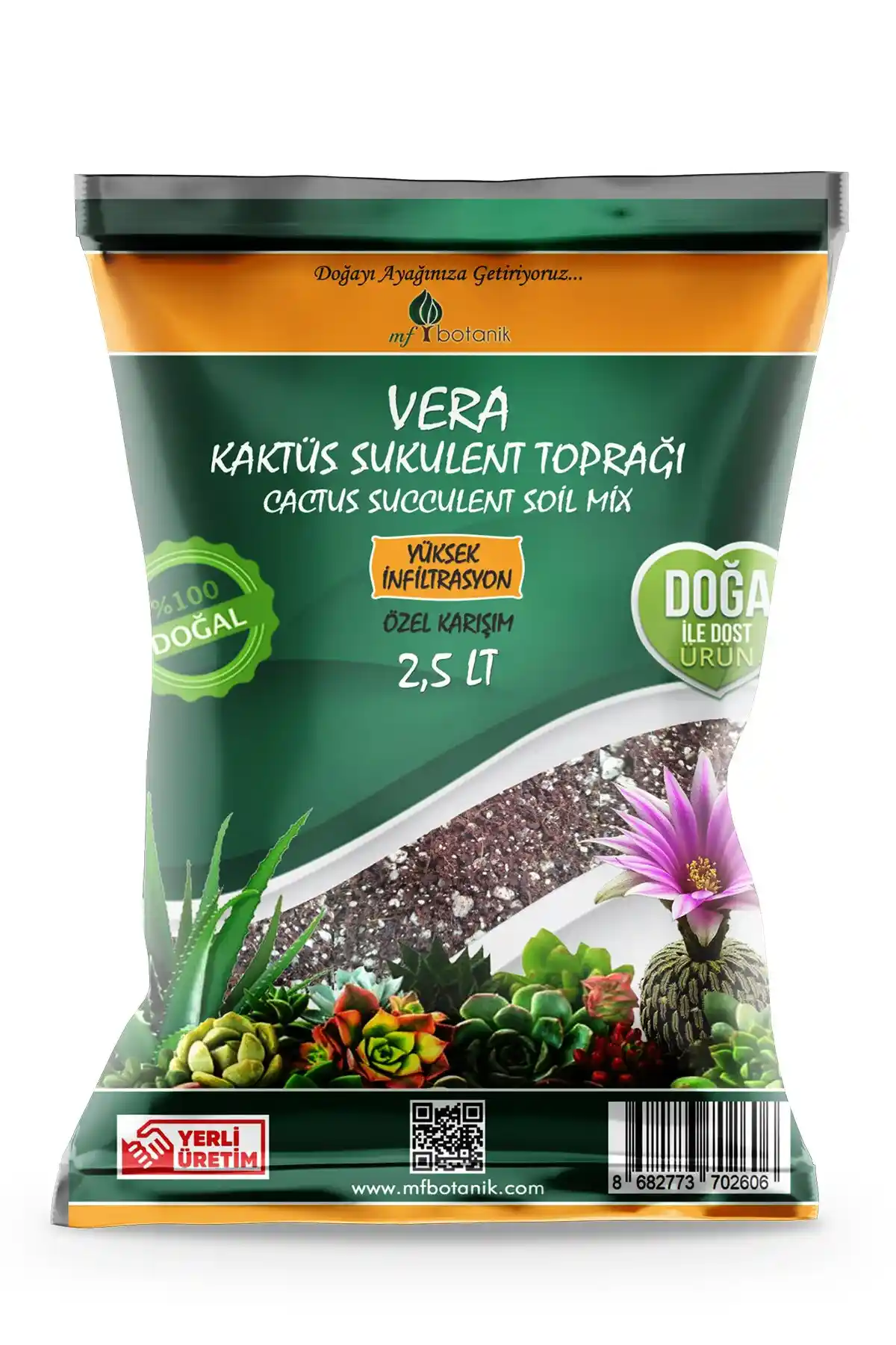 Kaktüs ve Sukulent Saksıları: İç ve Dış Mekan Dekorasyonu İçin Uygun Seçenekler