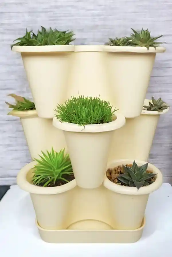 Kaktüsler İçin Dayanıklı Saksı Setleri ve Bakım İpuçları