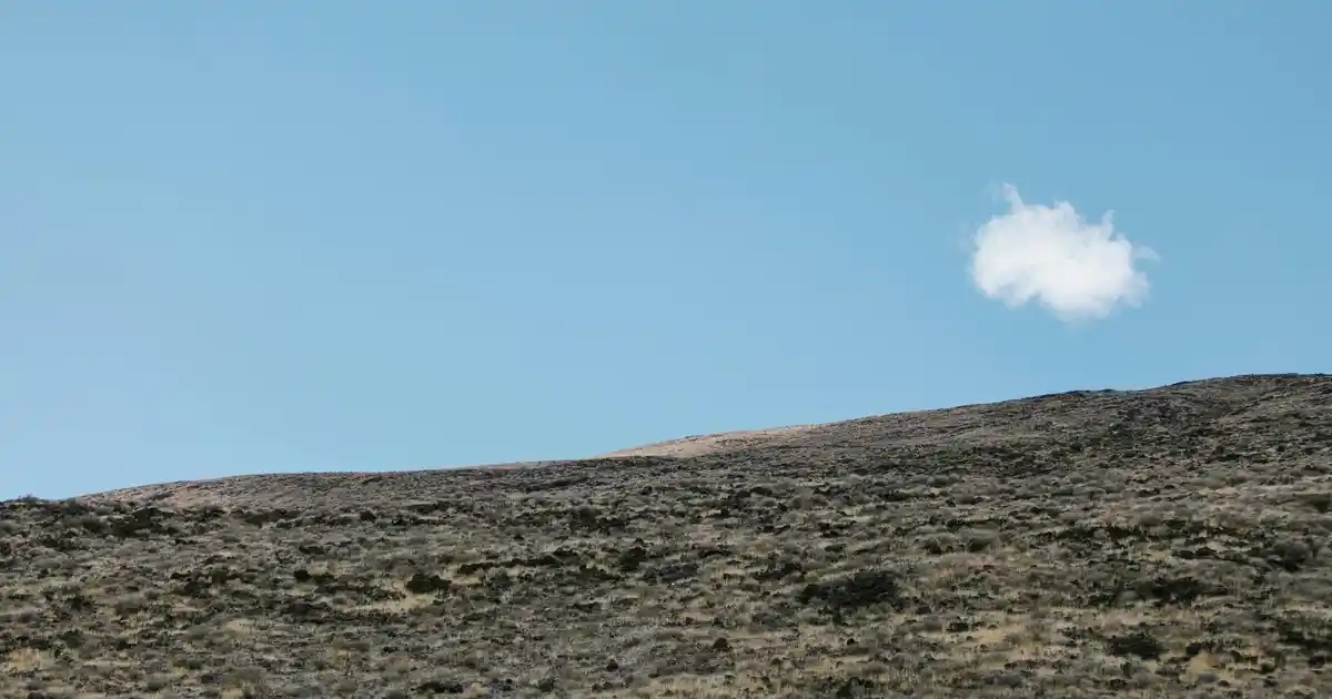 Kitaplık Seçim Rehberi: Fonksiyonellik ve Estetiğin Dengesi İçin Temel İpuçları ve Türler