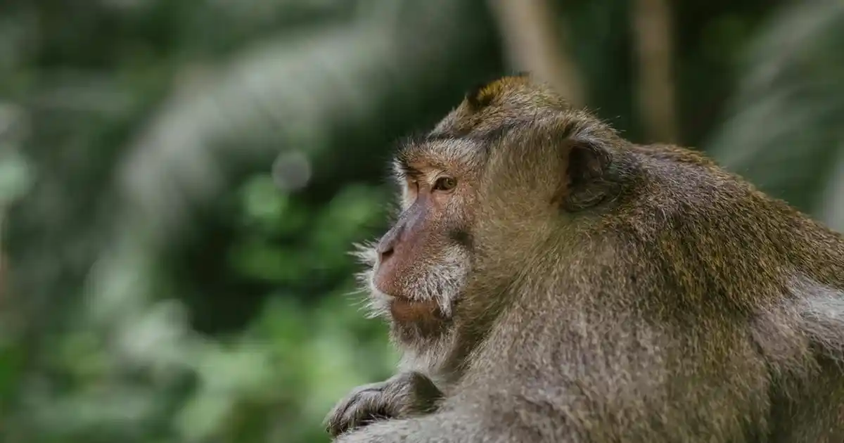 Klasik Lambalar ile Ev Dekorasyonunda Estetik ve Fonksiyonellik Sağlama Rehberi
