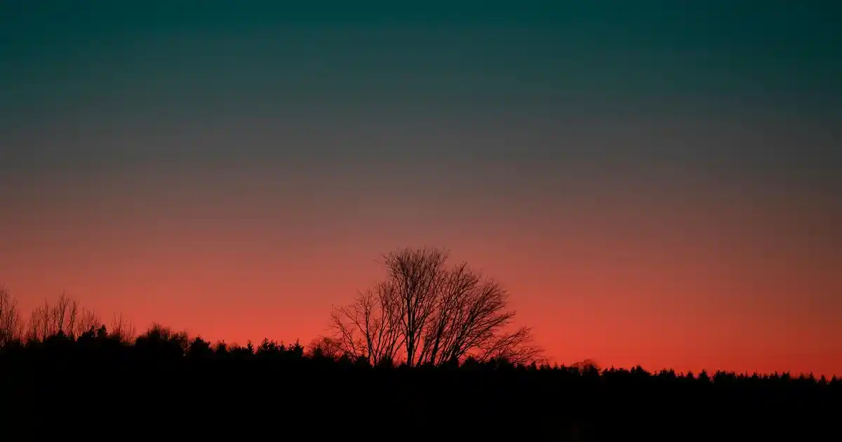 Magnet Setleri ile Evinize Renk ve Şıklık Katmanın Pratik Yolları
