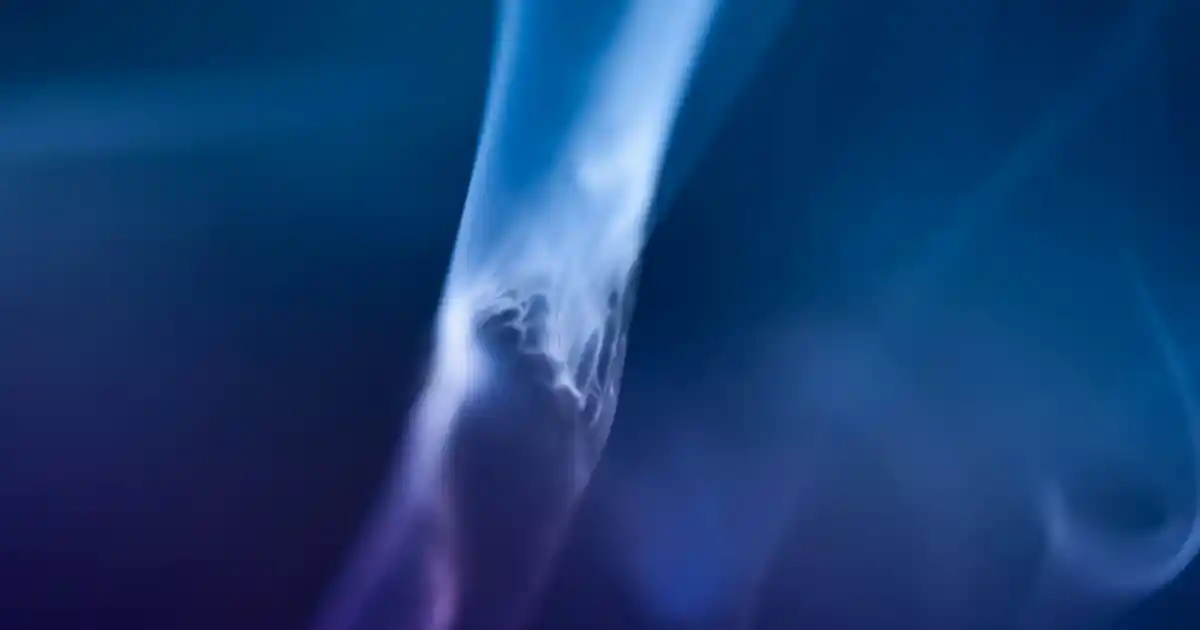 Makro Fil Mutfaklar İçin Bambu Sepetlerin Özellikleri ve Kullanım Alanları