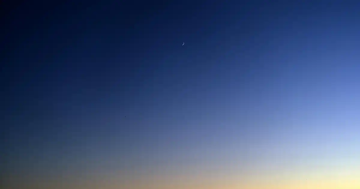 Modern 265 cm Genişlikli Servis Tabağı ile Şık ve Fonksiyonel Sunumlar