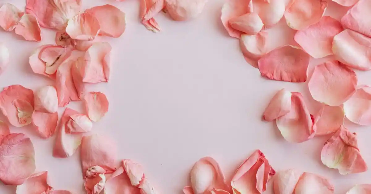 Modern Ahşap Kitaplık Dekorasyonu: Estetik ve Fonksiyonellik Bir Arada