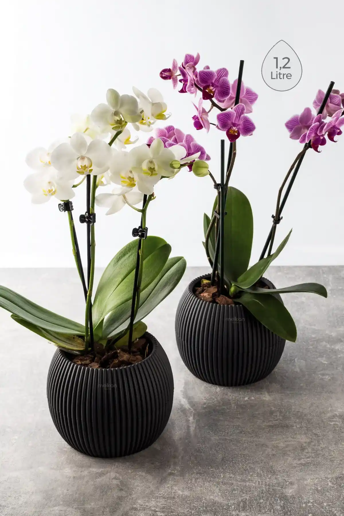 Modern Dekorasyon İçin Şık Saksı Setleri: Estetik ve Fonksiyonellik Bir Arada