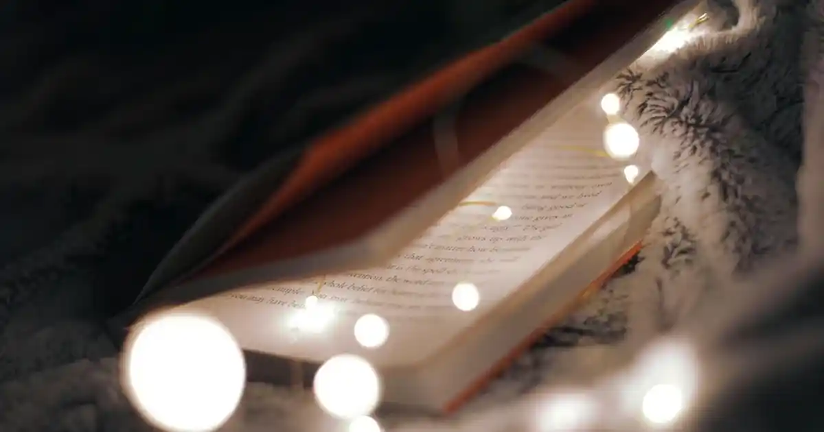 Modern Ev Dekorasyonunda Polyester Battaniyelerin Rolü ve Avantajları