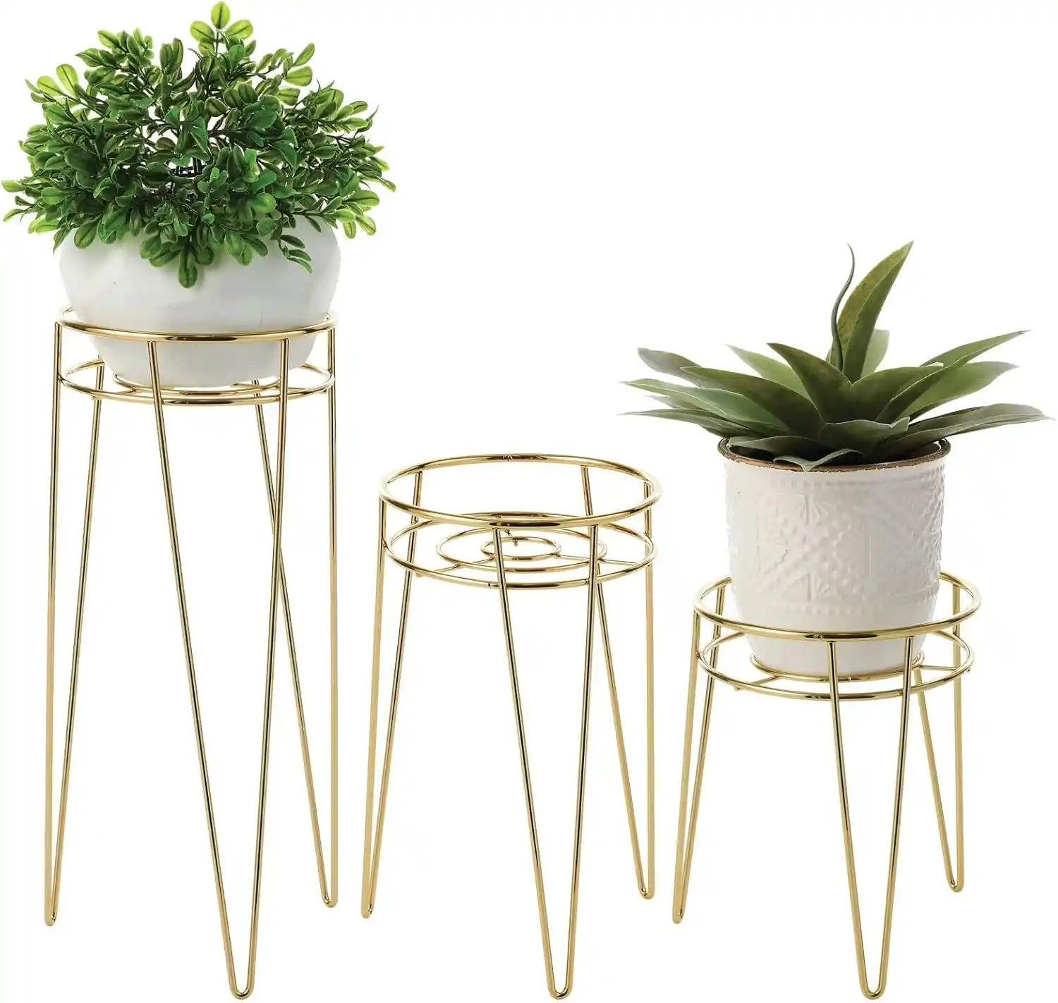 Modern İç Mekan Sukulent Saksıları: Estetik ve Fonksiyonellik Bir Arada