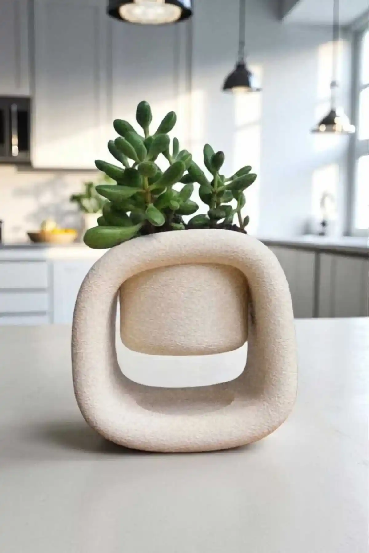 Modern Sukulent Saksılarıyla İç ve Dış Mekan Dekorasyonunda Şıklık ve Pratiklik