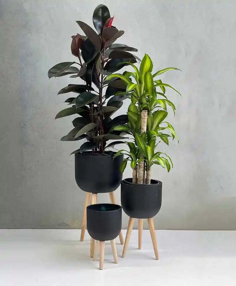 Modern tripod saksı standları: estetik ve dayanıklı tasarımlarla iç ve dış mekan dekorasyonu