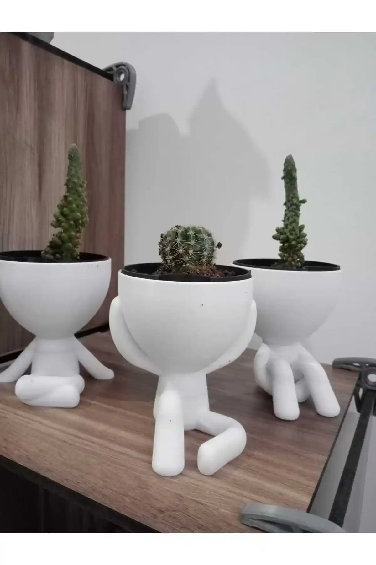 Modern ve Şık Dekoratif Kaktüs Saksılarıyla Ev ve Ofislerinize Zarafet Katın