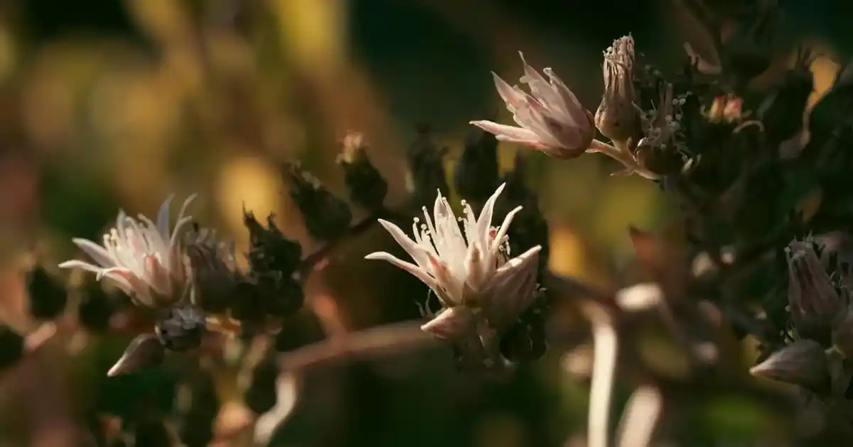 Mutfak Havalandırma Sistemlerinde Güç ve Etkinlik Artırıcı Çözüm Yaklaşımları