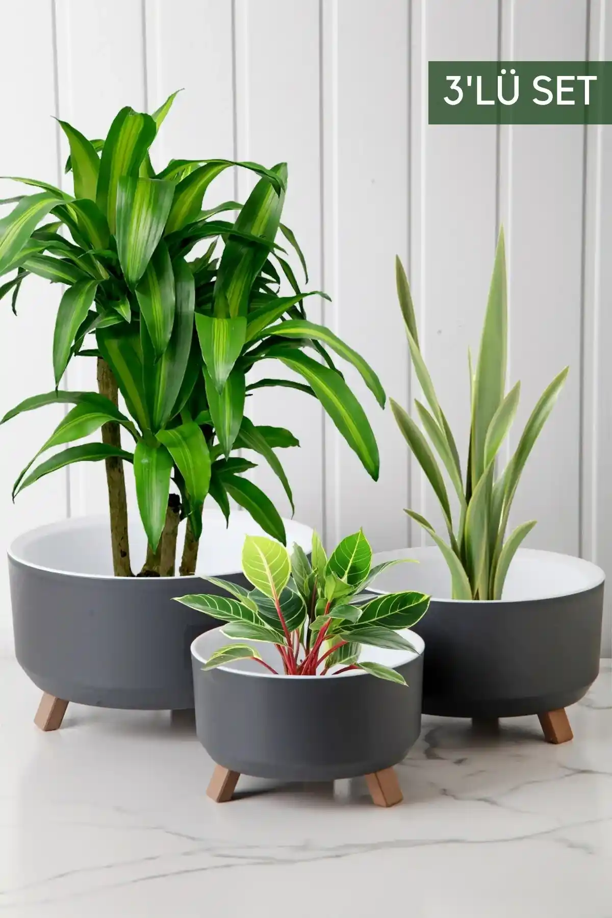 Nandy Home 3 Parçalı Tripod Bitki Standı Modern ve Çok Yönlü Dekorasyon Seçeneği