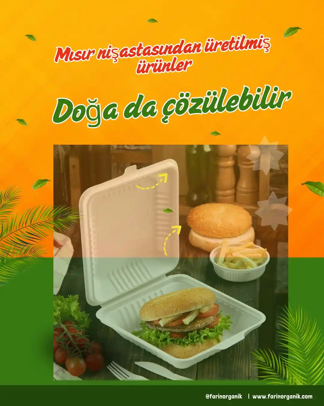 Organik ve Çevre Dostu Peçeteler: Sürdürülebilirlik ve Sağlıklı Yaşamın Temel Unsuru