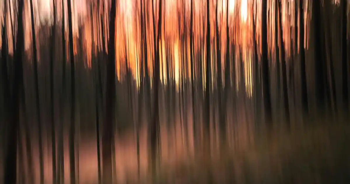 Organik ve Doğal Bebek Odası Hava Kalitesi ve Güvenli Ortam Yaratma Yöntemleri