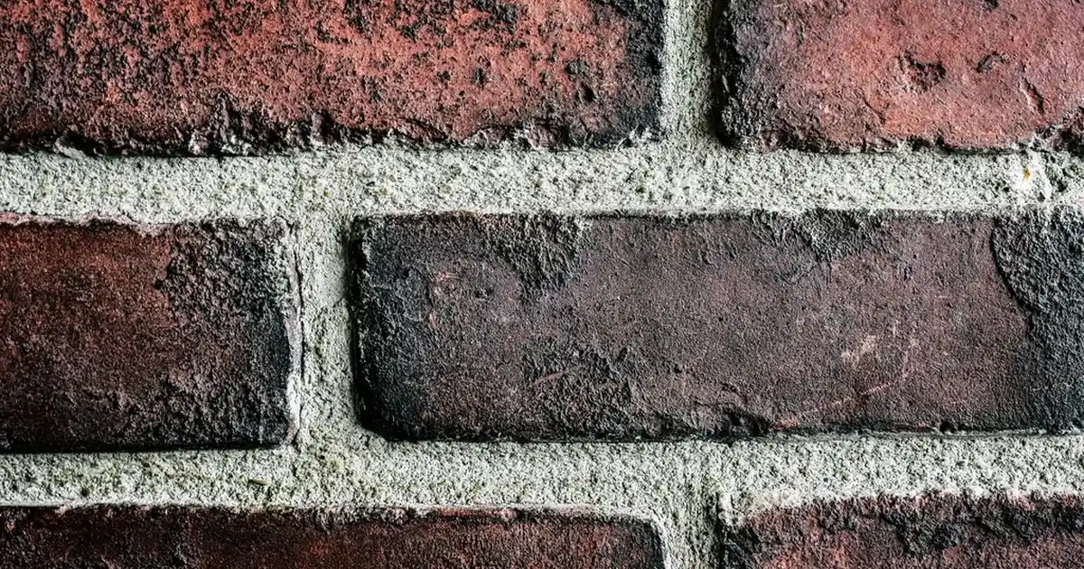 Paslanmaz Çelik Havluluklar: Dayanıklı ve Estetik Çözüm Seçenekleri