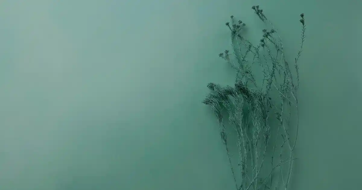 Pleksi Tepsi Seçenekleri: Dayanıklı ve Estetik Modern Ev ve İş Yeri Kullanımı