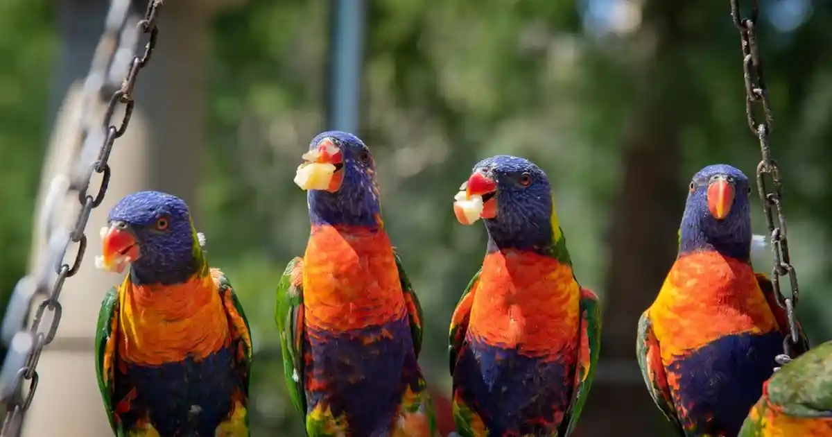 Raf Modelleri ve Tasarım Seçenekleri: Estetik ve Fonksiyonellik Analizi