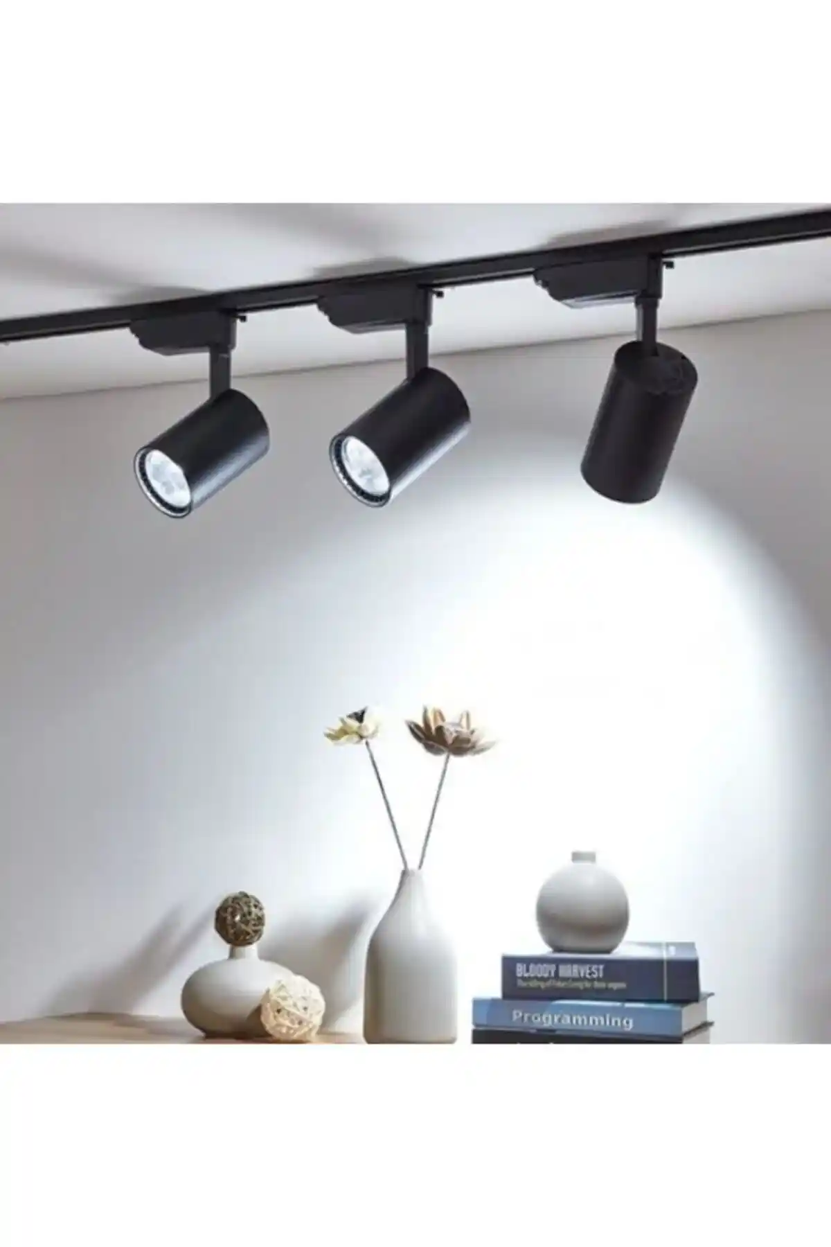 Ray Spot Lambaları: Modern ve Çok Yönlü İç Mekan Aydınlatma Çözümleri