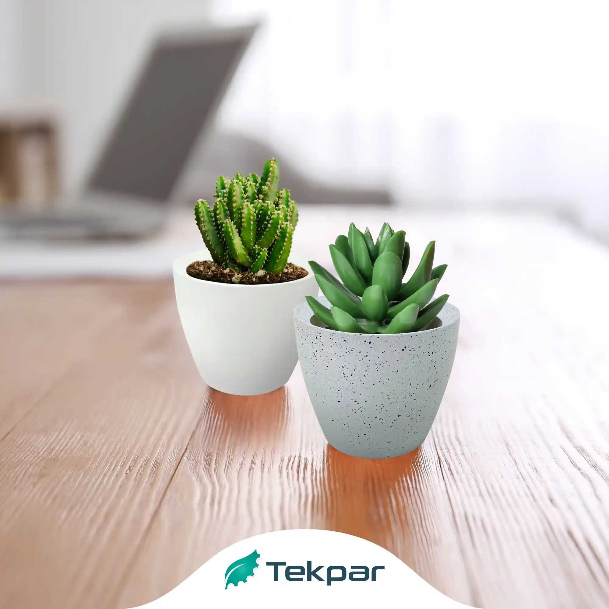 Saksı Setleri ile Dekorasyonunuza Şıklık Katmanın Pratik Yolları