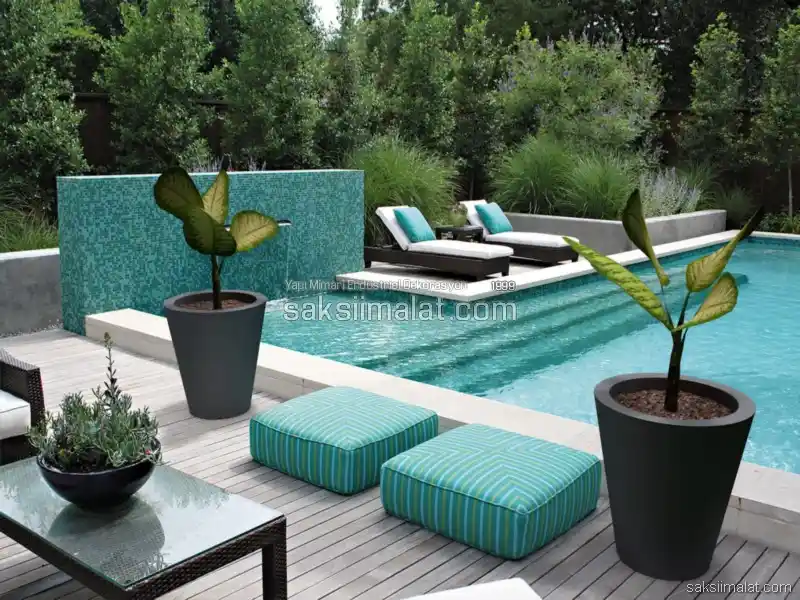 Sardunya Bitkisinin Özellikleri ve Bahçe ile İç Mekan Dekorasyonundaki Kullanımı