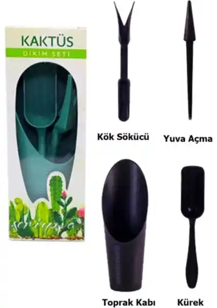 Serinova Kaktüs Bakım Setleri: Sağlıklı ve Uzun Ömürlü Kaktüsler İçin Temel Rehber