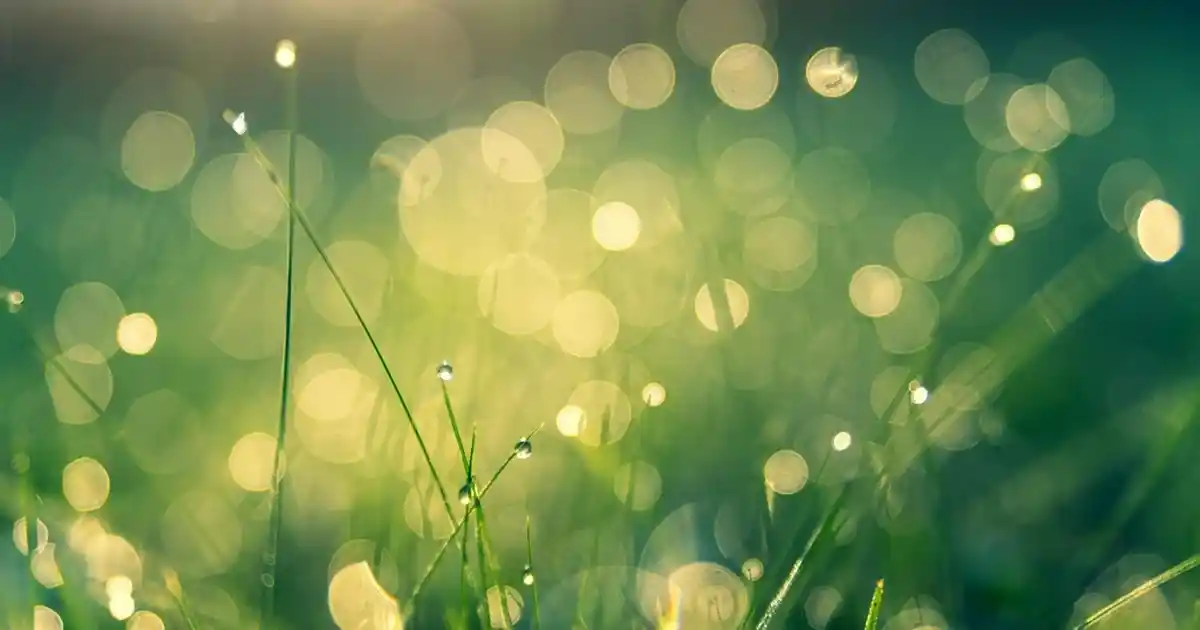 Şık Kahve Servis Tepsisi Dekorasyonu: Estetik ve Fonksiyonellik Bir Arada